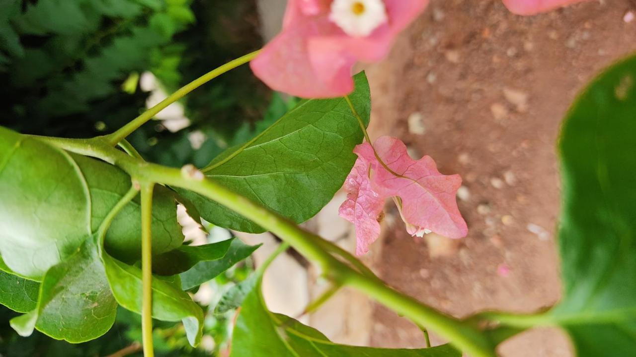 Kanthi Resorts Badami Bagalkot ภายนอก รูปภาพ